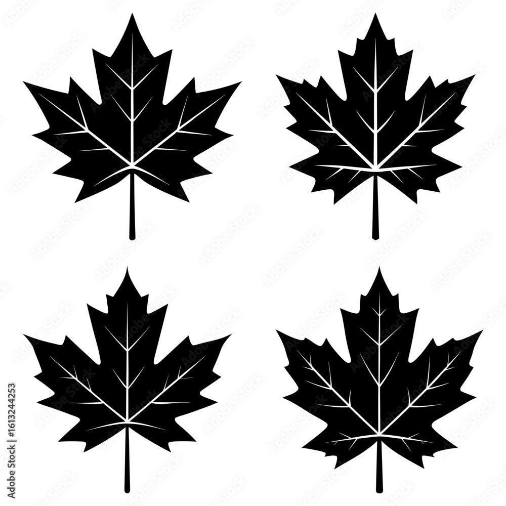 Fototapeta premium Four black maple leaf illustrations with detailed veins arranged on a white background in a symmetrical pattern