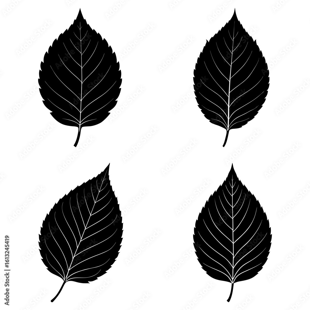 Obraz premium Four black and white leaf silhouettes with prominent veins displayed on a white background neatly arranged