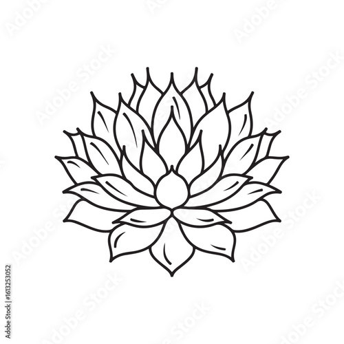 Detailed Agave Plant Line Art: Botanical Outline Illustration for Succulent and Desert Themes