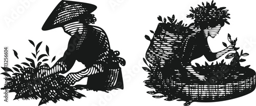  Monochrome lined photocopy effect engraving bundle woman harvesting tea leaves floral hair art