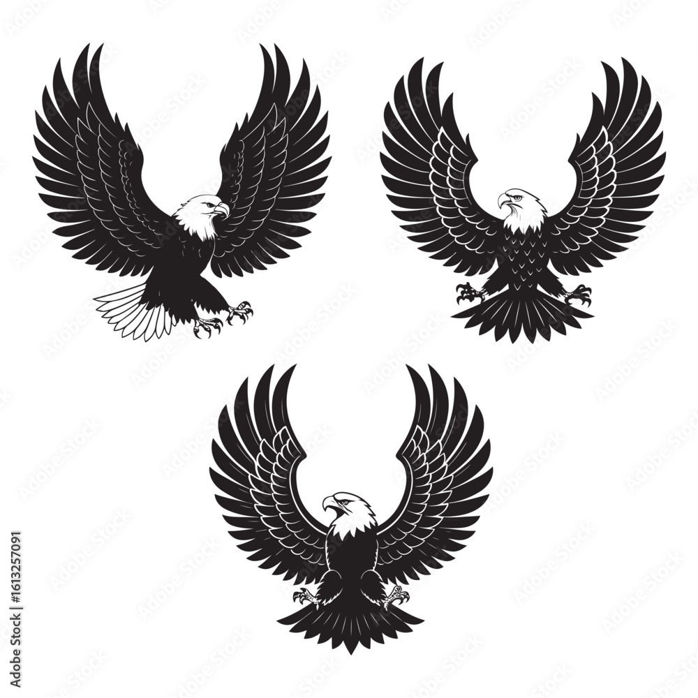 Obraz premium American Eagle Head with USA Flag