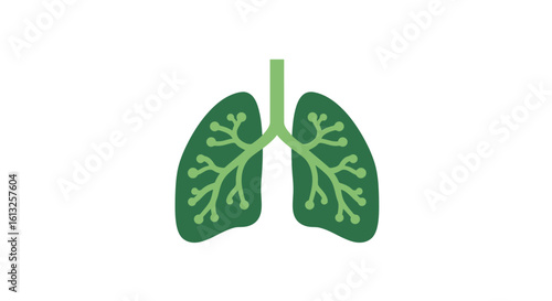 Illustration of Healthy Lungs