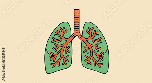 Illustration of Healthy Lungs