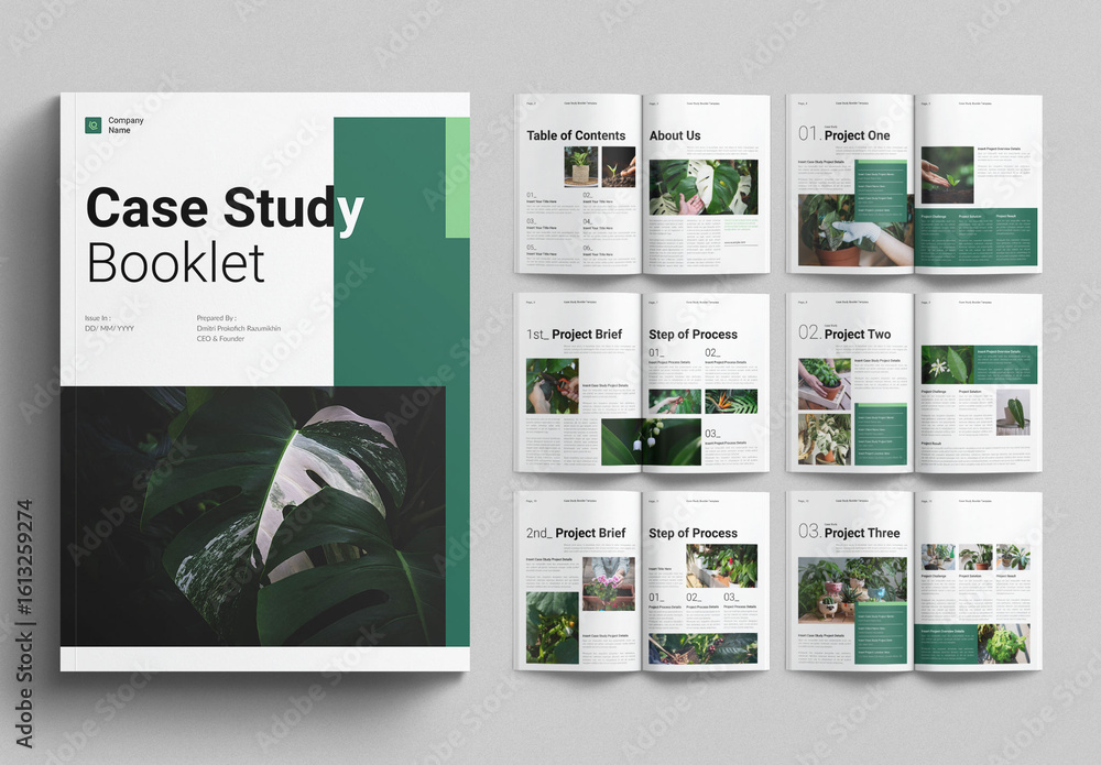Case Study Booklet Template Stock Template | Adobe Stock