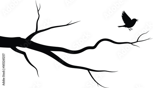 A lone bird takes flight from a stark bare tree branch against a white background silhouette