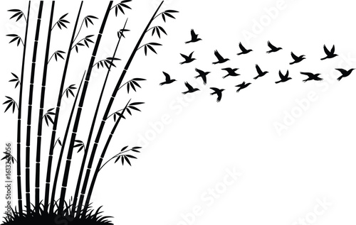 Black silhouette of tall bamboo stalks with a flock of birds flying away from the grove silhouette