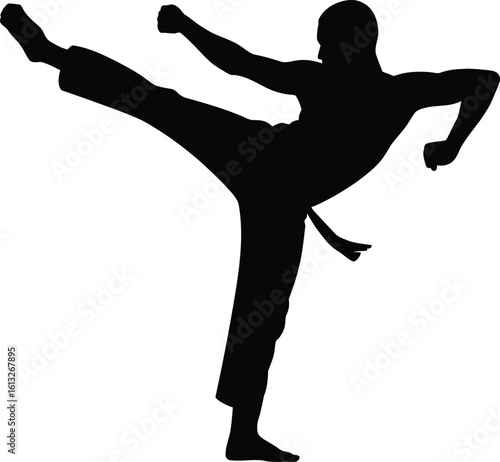 Dynamic silhouette of a martial artist performing a powerful high kick in a fighting stance silhouette