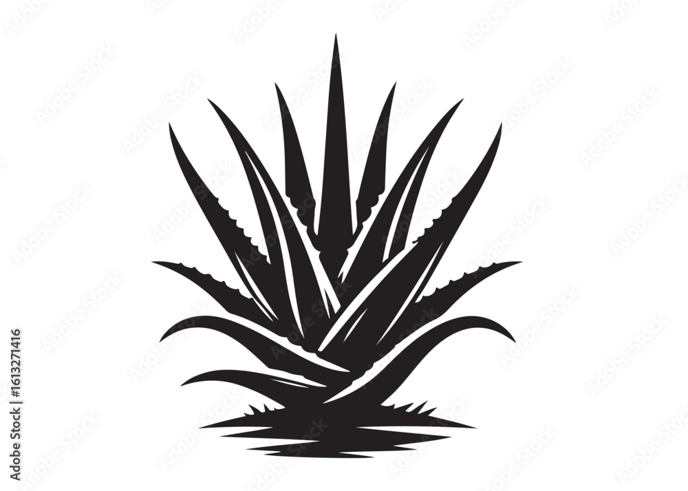 aloe vera plant logo silhouette vector, aloe vera tree logo silhouette vector design, black aloe vera plant silhouettes succulent botanical, aloe vera leaves logo vector silhouette on white background aloe vera plant logo silhouette vector, aloe vera tree logo silhouette vector design, black aloe vera plant silhouettes succulent botanical, aloe vera leaves logo vector silhouette on white background