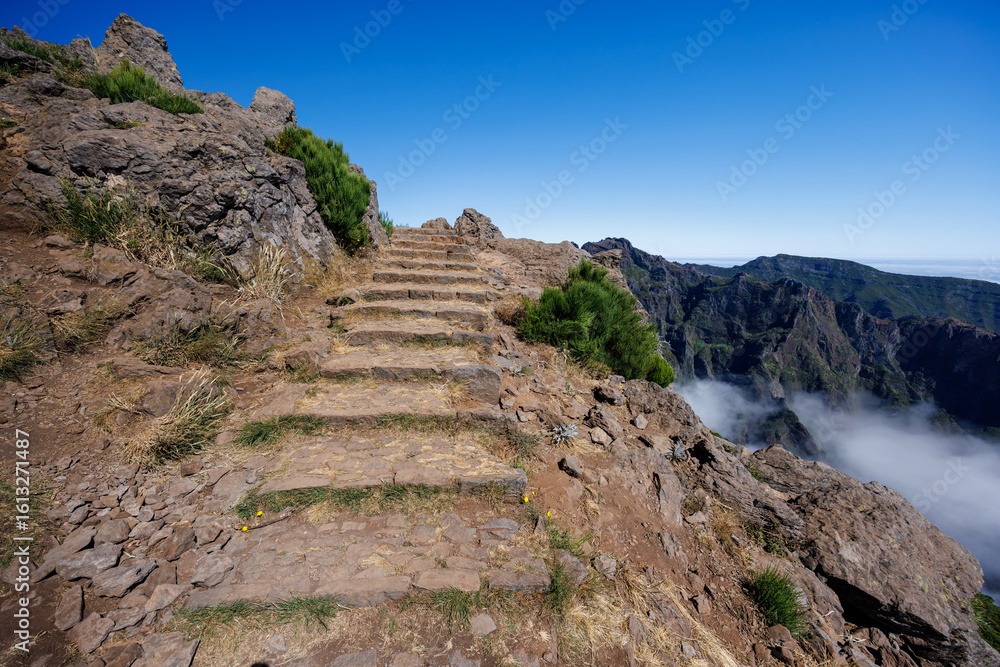 Obraz premium Beautiful view of the 