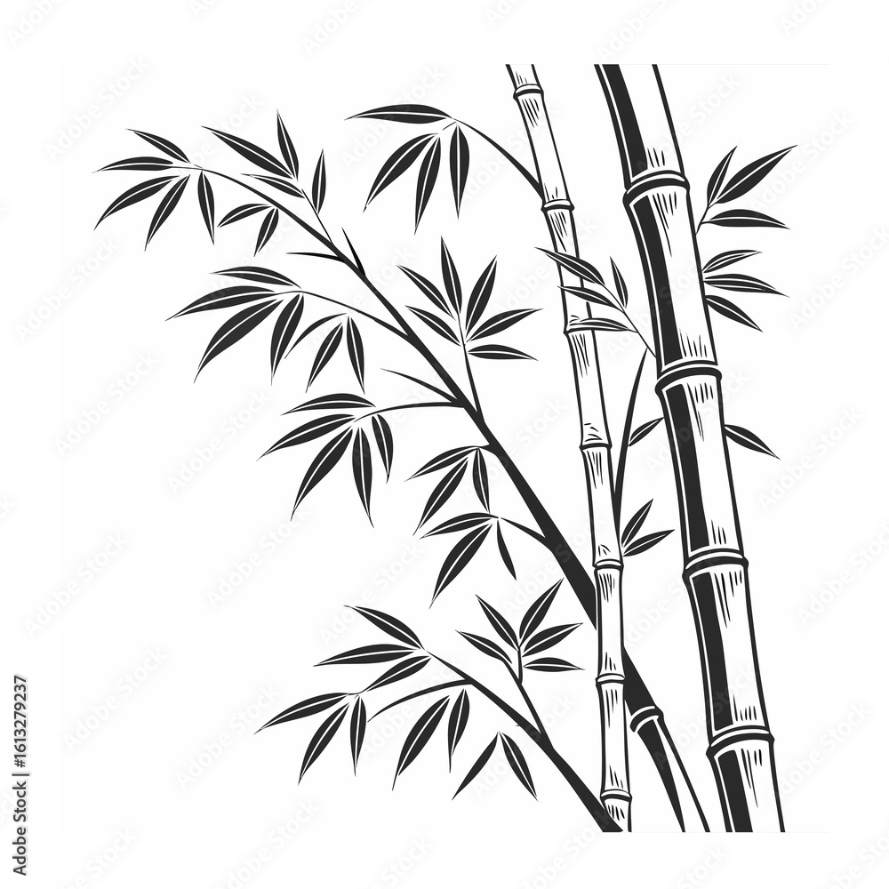 Fototapeta premium bamboo vector illustration