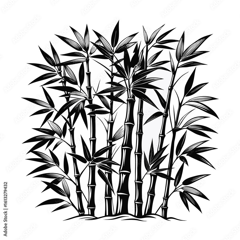Fototapeta premium bamboo vector illustration