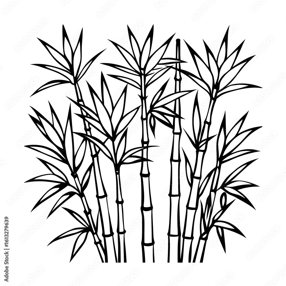 Fototapeta premium bamboo vector illustration