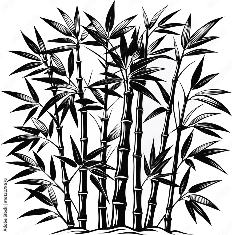 Obraz premium bamboo vector illustration