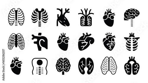 Human Anatomy Icons Set Medical Illustrations of Brain Heart Ribcage Spine Vector Design Elements for Healthcare Presentations and Educational Materials