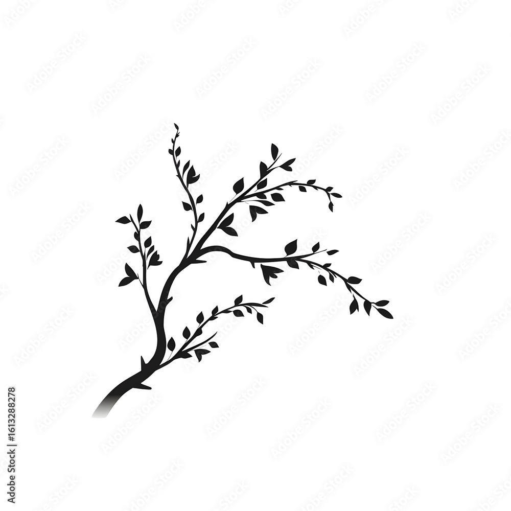 Obraz premium branch silhouette