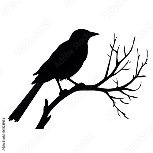 bird on branch silhouette