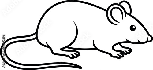Illustration of a mouse with black outlines, showcasing its rounded body and long tail design style