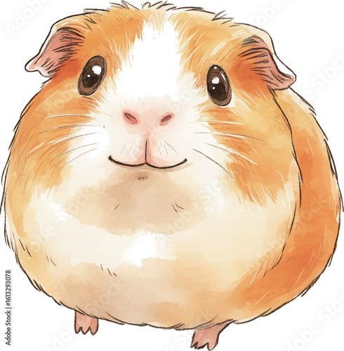 watercolour clipart guinea pig on white background