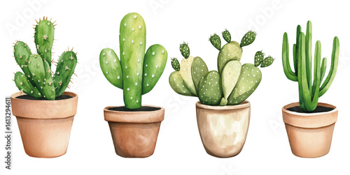 watercolour clipart cactus plant in a bohemian vase