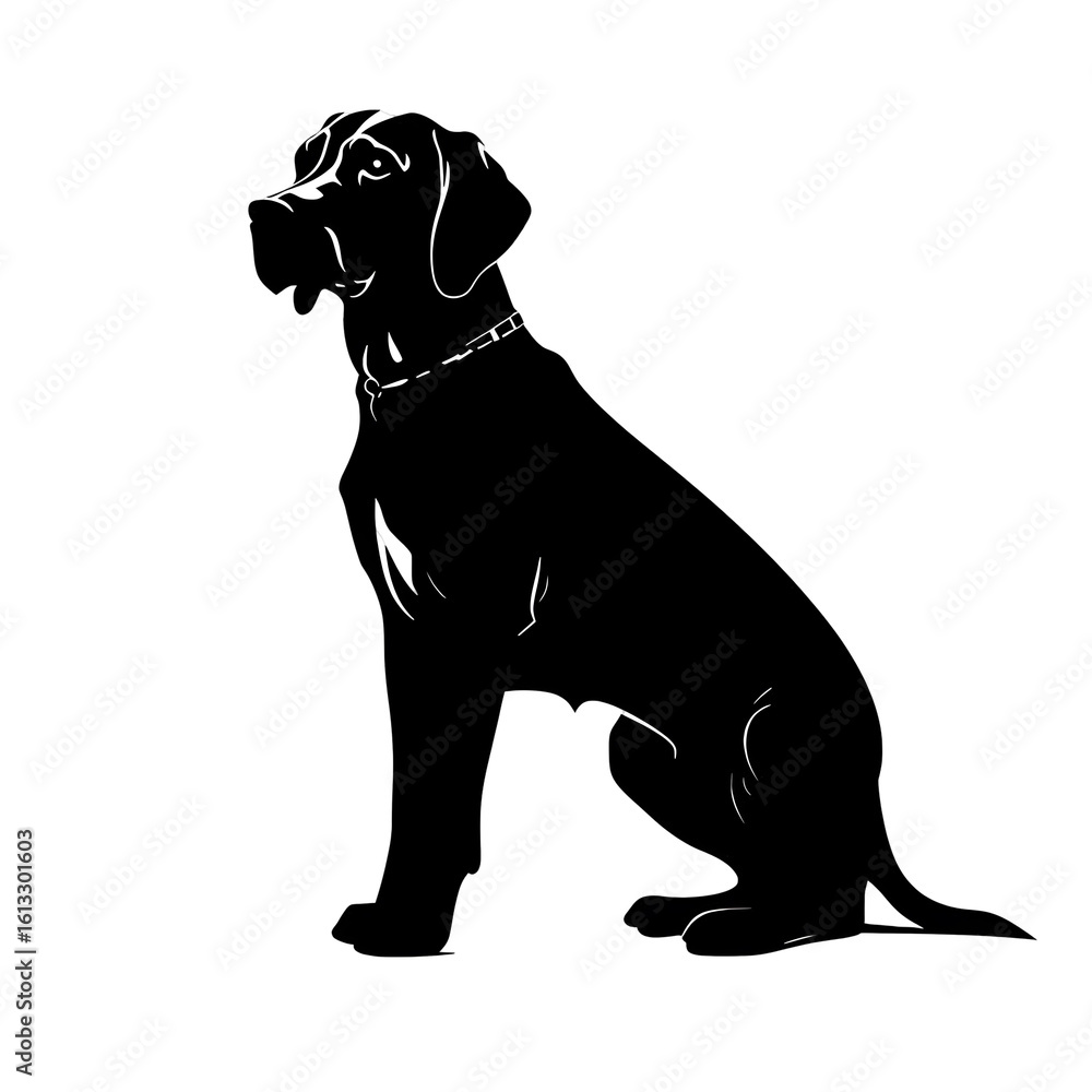 Obraz premium english pointer silhouette