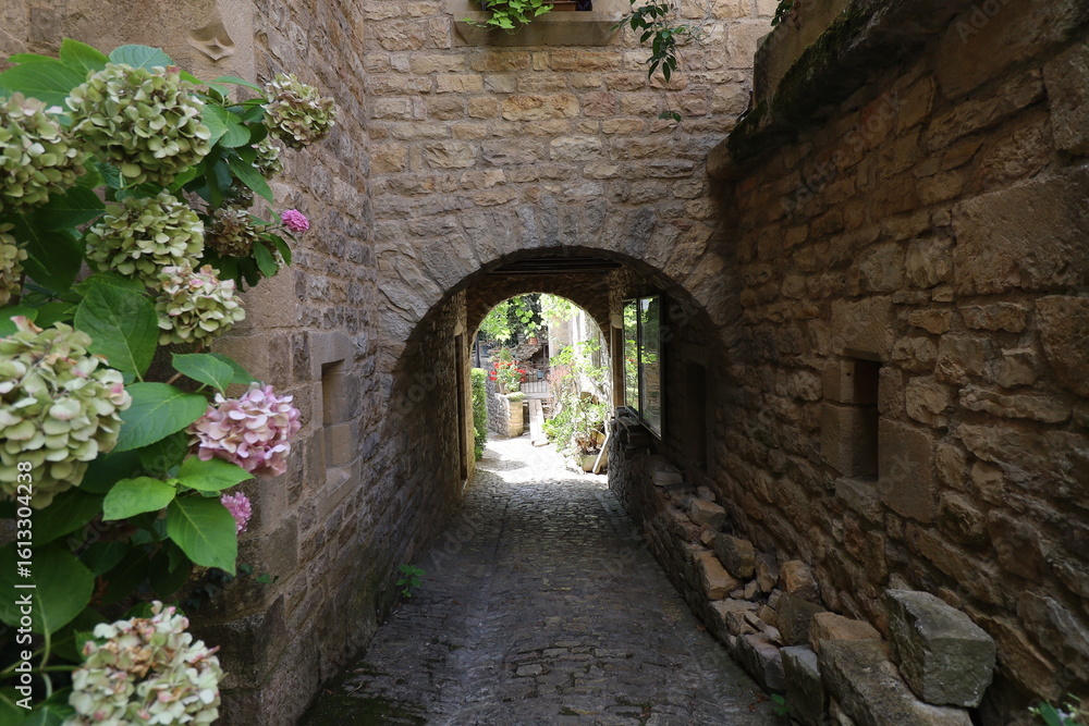 Obraz premium Vieille rue typique dans le village, village de Bruniquel, département du Tarn et Garonne, France