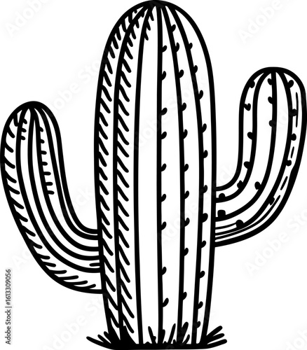 Hand drawn saguaro cactus illustration black and white desert succulent plant sketch with spines and arms