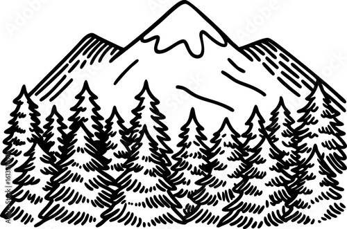Majestic mountain landscape with evergreen pine trees scenic forest wilderness, natural outdoor adventure concept