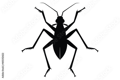 Black silhouette of an insect with long legs and antennae