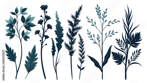 Elegant botanical silhouettes of various plants with detailed leaves and stems on transparent background for creative designs