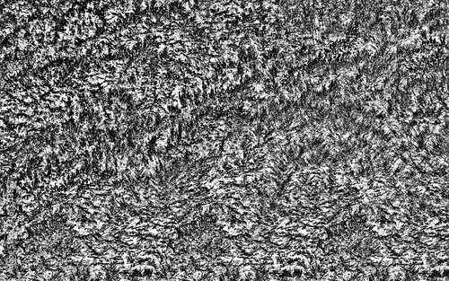 black and white textured image of a forest of densely intertwined leafy trees