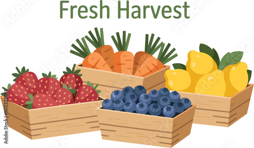 Illustration of wooden crates filled with strawberries carrots blueberries and lemons displayed