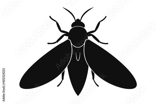 Silhouette of a black fly with open wings