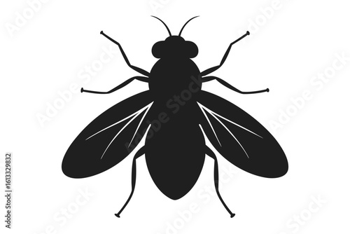 Foto Detailed silhouette illustration of a fruit fly on a clean white background