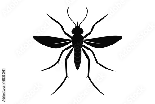 Black silhouette of a mosquito on a white background