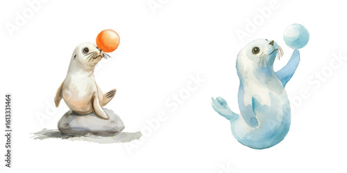 seal ballancing a ball watercolor vector illustration