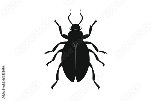 Black silhouette of a beetle on a white background