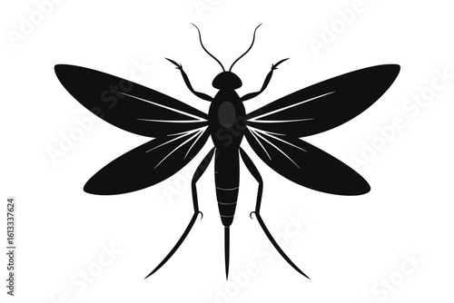 Elegant silhouette illustration of a delicate mayfly insect on a clean white background