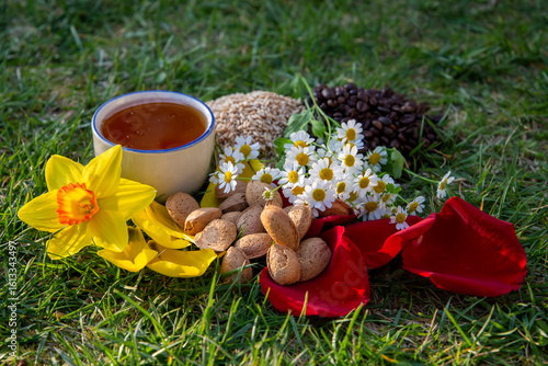 Assorted Natural Ingredients with Bright Flowers and Honey on Fresh Grass Outdoor