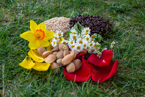 Arrangement of Natural Ingredients Including Flowers, Nuts, and Grains on Grass