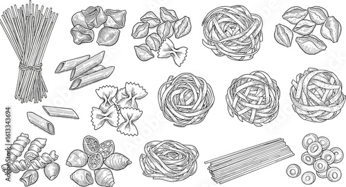 Hand-drawn pasta types set, vintage Italian food illustration of spaghetti, penne, farfalle, fusilli, and tagliatelle in sketch style