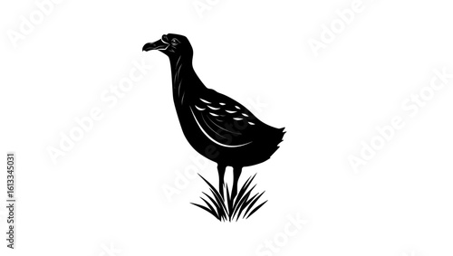 Rodrigues Solitaire bird, black isolated silhouette