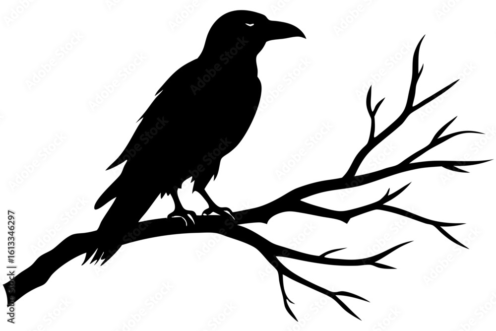 Naklejka premium Raven perched on a bare branch silhouette vector illustration