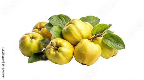 Aromatic Quince Fruit Pile with Fresh Green Leaves, an Autumn Harvest