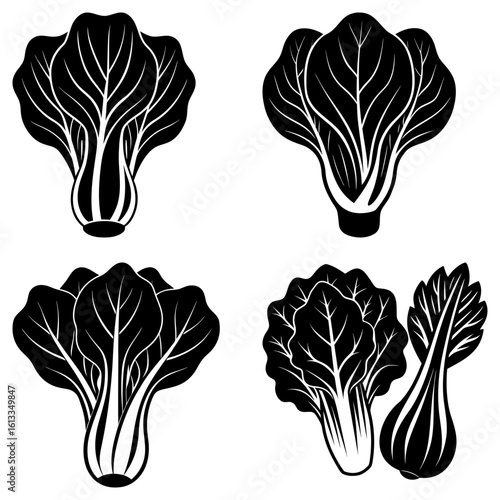 Illustration of four bok choy heads with detailed leaf veins in a simple black and white vector design style