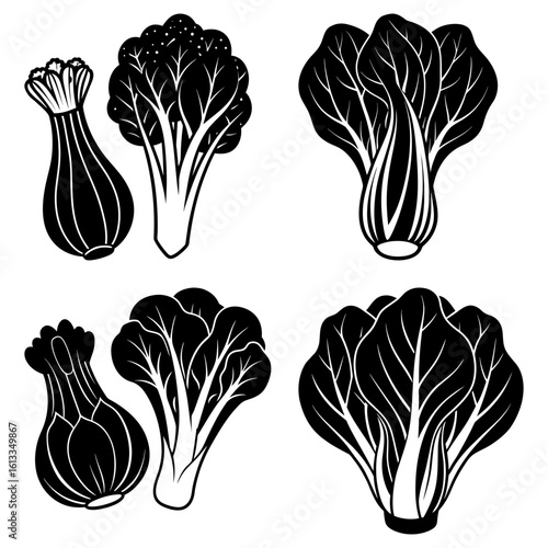 Illustration of bok choy and scallions in black and white with detailed leaf and stem structures present