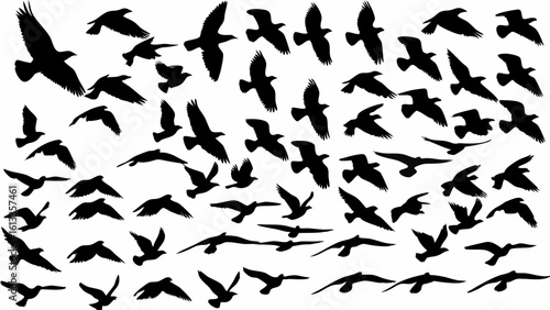 Silhouette illustration showcasing a multitude of birds in various stages of flight formations overhead