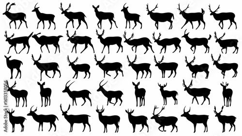 Silhouette illustration showing a multitude of deer in various poses and antler configurations standing still