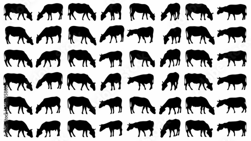 Silhouette illustration showing many cows grazing in a pasture on a white background in a large group