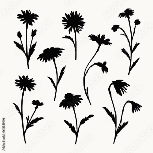 Black silhouettes of wildflowers and daisy stems in various poses and sizes.