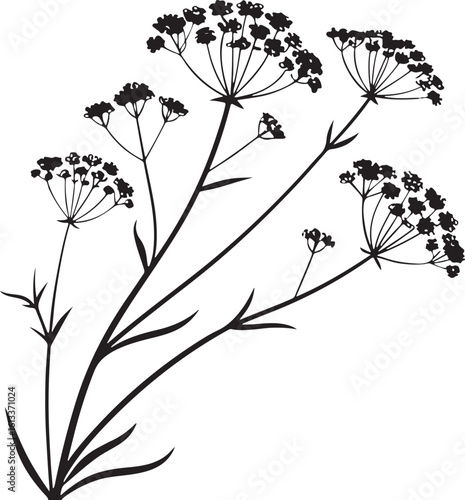 Delicate baby s breath flower bloom minimalist vector silhouette art isolated on transparent background